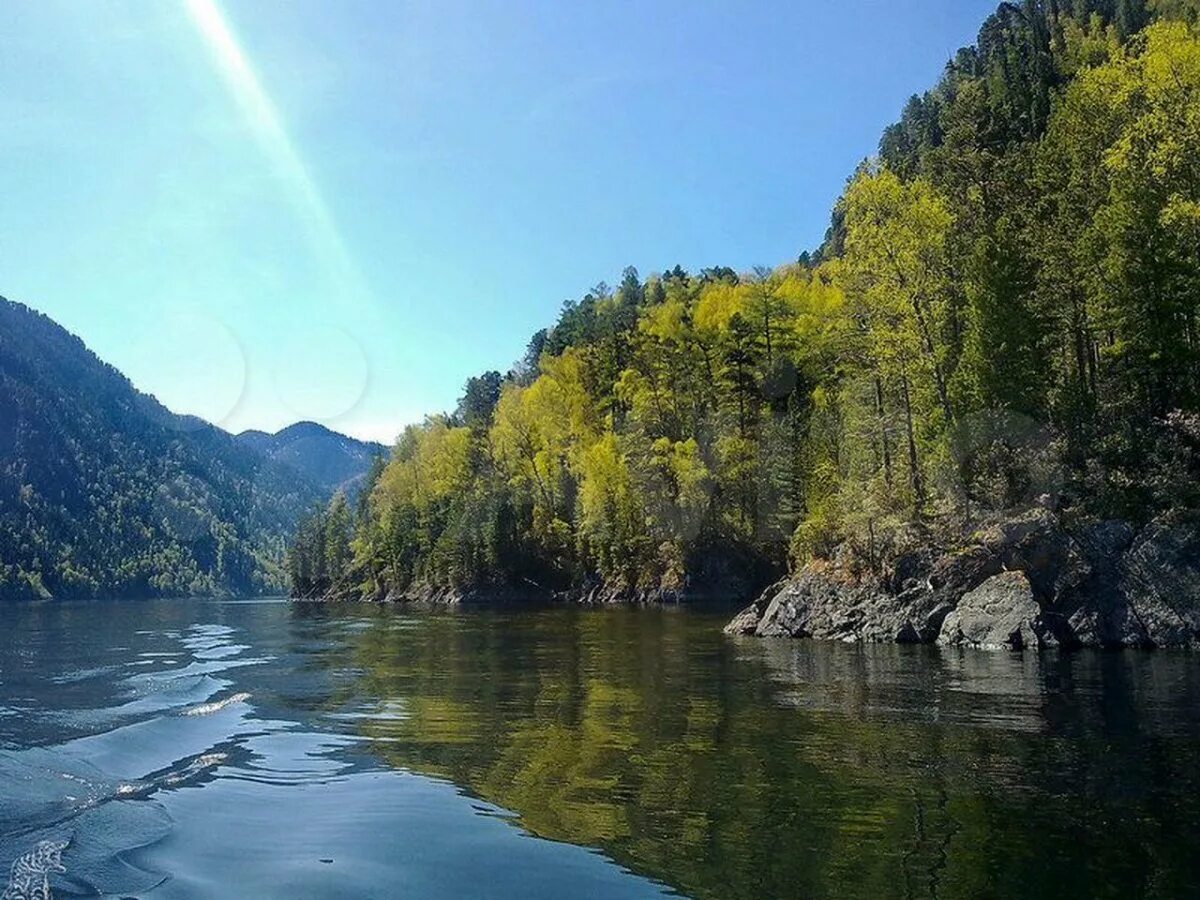 Горно-алтайск телецкое озеро. Телецкое озеро горный алтайский. Телецкое озеро – жемчужина алтая. Акташ телецкое озеро. Телецкое озеро заповедник.