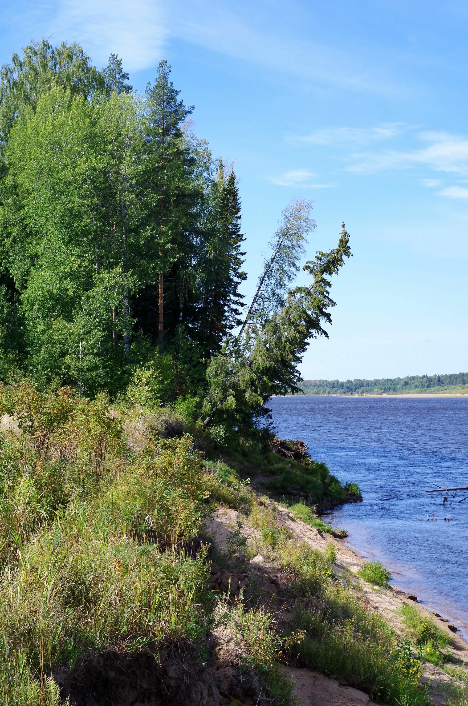 Река в сыктывкаре