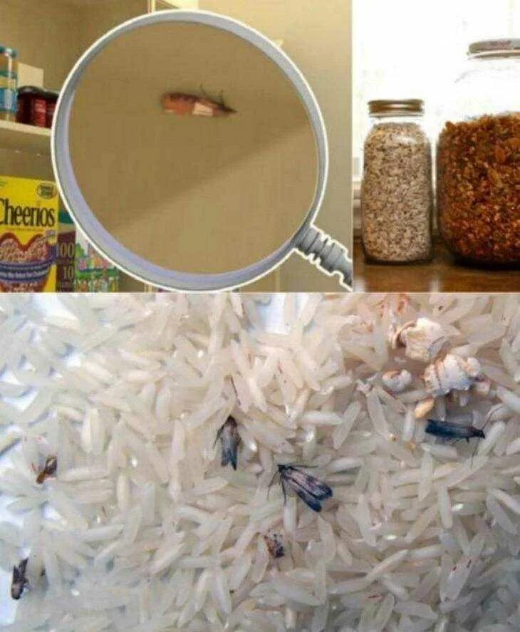 Как вывести моль