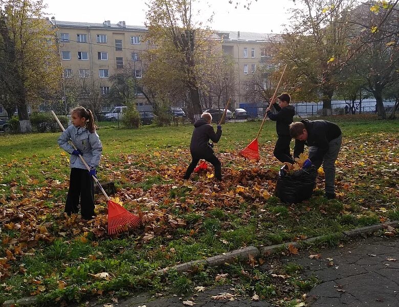 Акция чистый дом. Мероприятие чистый двор. Чистый двор чистый дом. Чистый дом чистый двор акция к дню победы фотографии. Экологическая акция чистый двор.