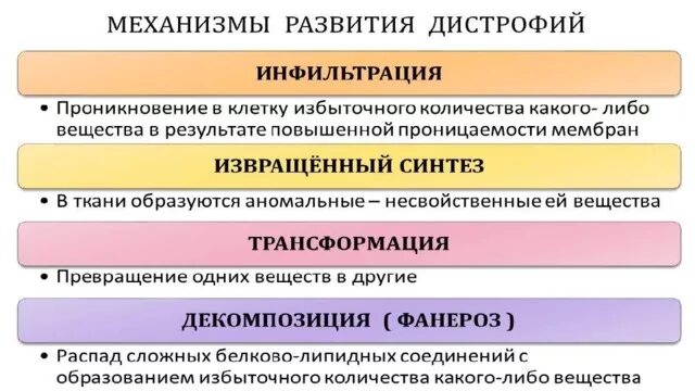Углеводные паренхиматозные дистрофии определение. Паренхимаиозные дистрофия. Паренхиматозные дистрофии. Паренхиматозные белковые дистрофии механизм развития. Морфогенетические механизмы развития паренхиматозных дистрофий.