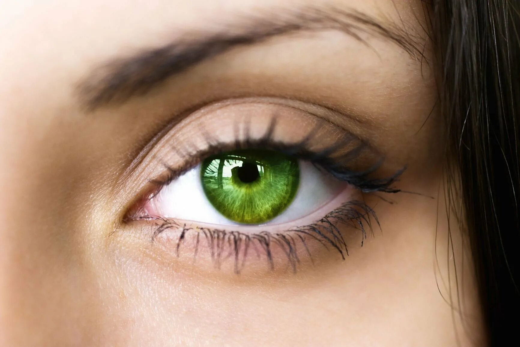 Зелёные глаза. Изумрудные глаза. Ярко-зеленый цвет глаз. Яркие зеленые глаза.