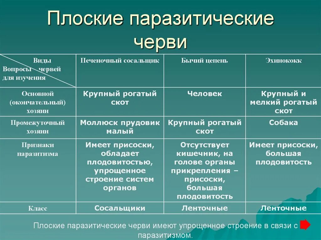 Признаки класса черви. Таблица представители плоских червей паразитов. Плоские черви паразиты таблица 7 класс. Сравнительная характеристика плоских червей паразитов. Сравнительная характеристика червей паразитов.