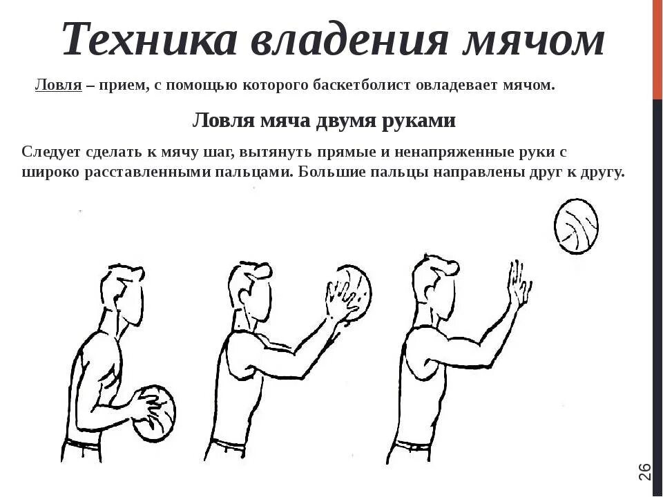 Ведение в баскетболе упражнения. Техника ловли мяча в баскетболе. Техника ловли и передачи мяча в баскетболе. Технику владения мячом в баскетболе. Ловля и передача мяча в баскетболе упражнения.