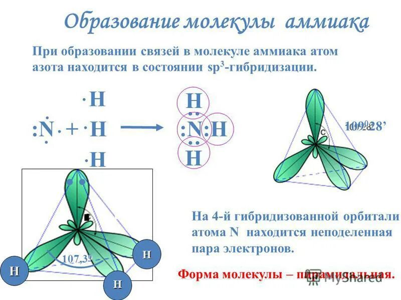 Nh 3 связь. Тип гибридизации в молекуле nh3. Пространственное строение азота. Схема образования молекулы аммиака nh3. Nh3 строение молекулы.