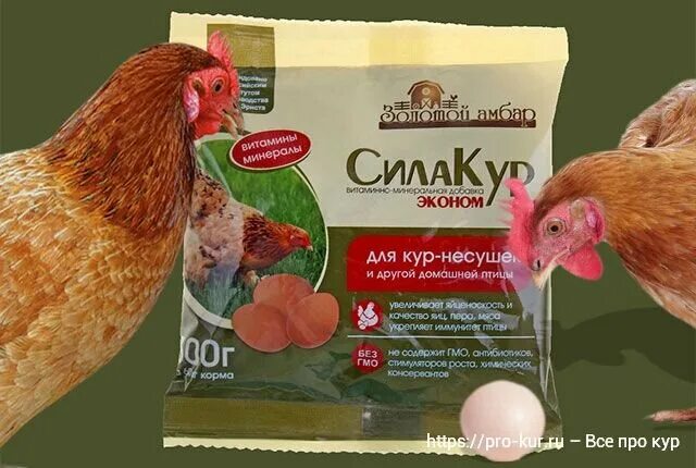 Корм домашних кур. Премикс СИЛАКУР "эконом" 300г. (Д/кур-несушек) х30. Премикс сила кур. Премикс СИЛАКУР 150г. (Д/кур-несуше. Несушка премикс для домашних птицы 600г.