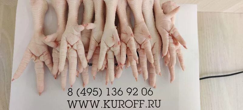 Лапки оптом. Куриные лапки категории Paws. Лапки куриные категория а. Куриные лапки категории а "feet.