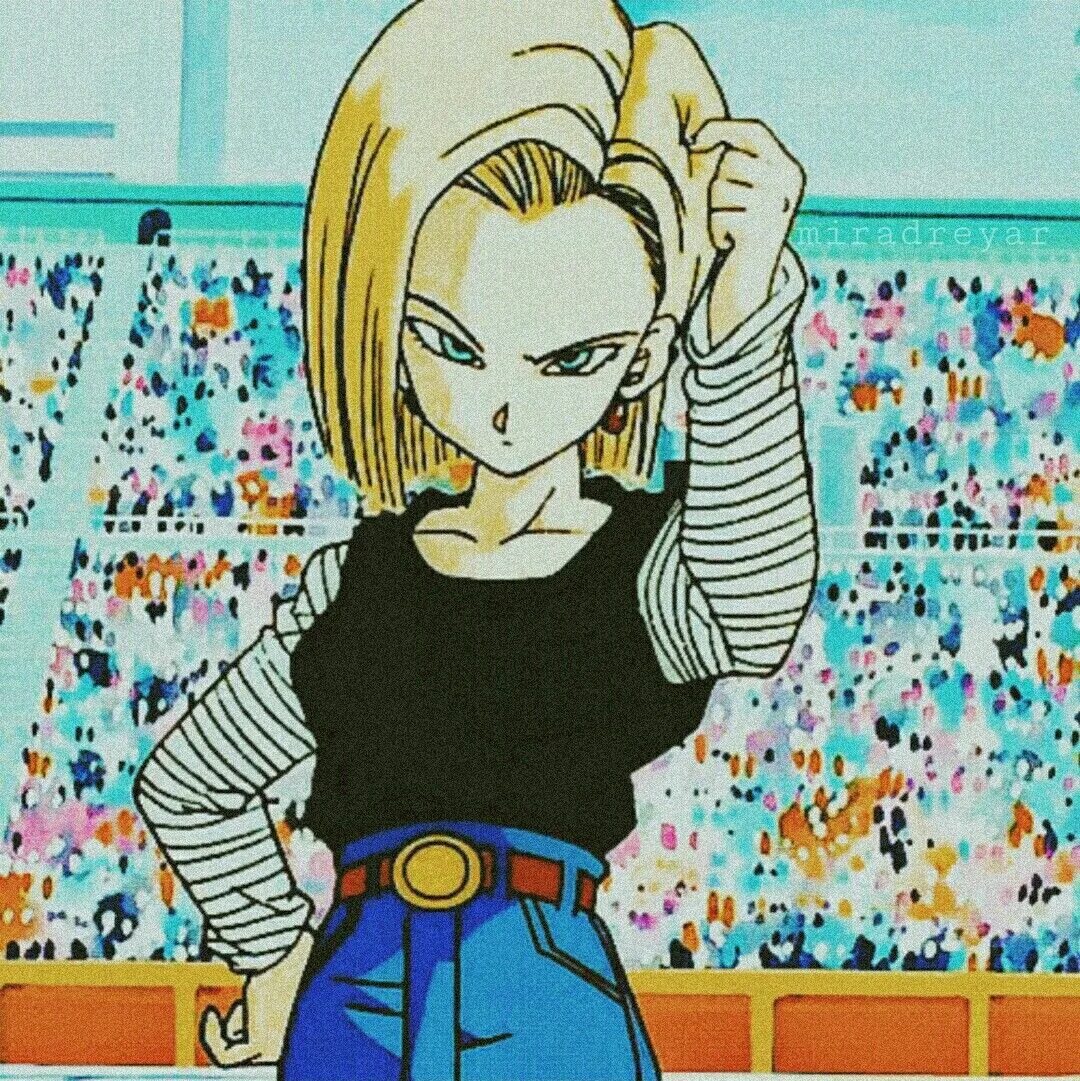 Dragon ball android. Драгон бол андроид 18. Драгонболл андроид 18 и Курилин. DBZ андроид 18. Драгон Болл z Android 18,.