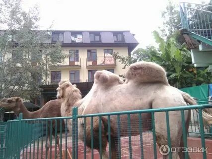 Октябрьский зоопарк