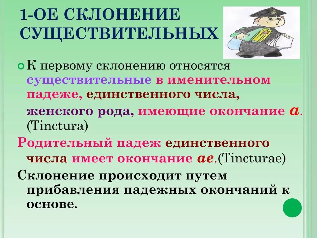 К 1 склонению относятся слова. Какие имена существительные относятся к 1 склонению. К первому склонению относятся существительные. Существительное 1 склонения именительного падежа. Склонение имен существительных.