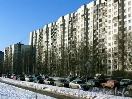 Сиреневый бул 2