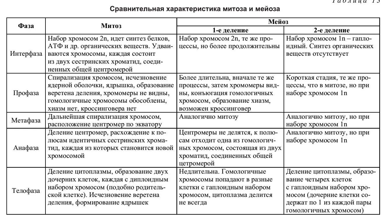 Сравнение митоза и мейоза таблица. Сравнительная характеристика фаз митоза и мейоза таблица. Фазы митоза и мейоза таблица. Сравнительная характеристика митоза и мейоза. 2. Сравнительная характеристика митоза и мейоза.