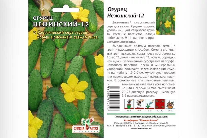 Гавриш огурец щедрик f1. Огурец сорт нежинский. Огурец сорт салтан. Описание семени огурца. Огурцы семена самоопыляемые.