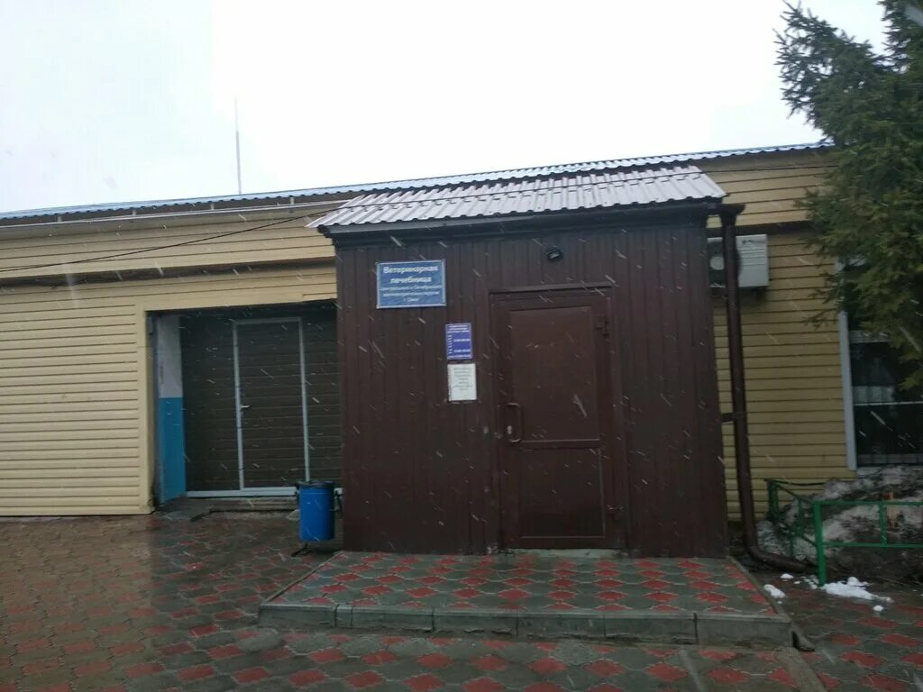Ветеринарная клиника краснослободск мордовия. Улица куйбышева цивильск. Ветлечебница куйбышев. Ветеринарная клиника куйбышев нсо. Ветлечебница.