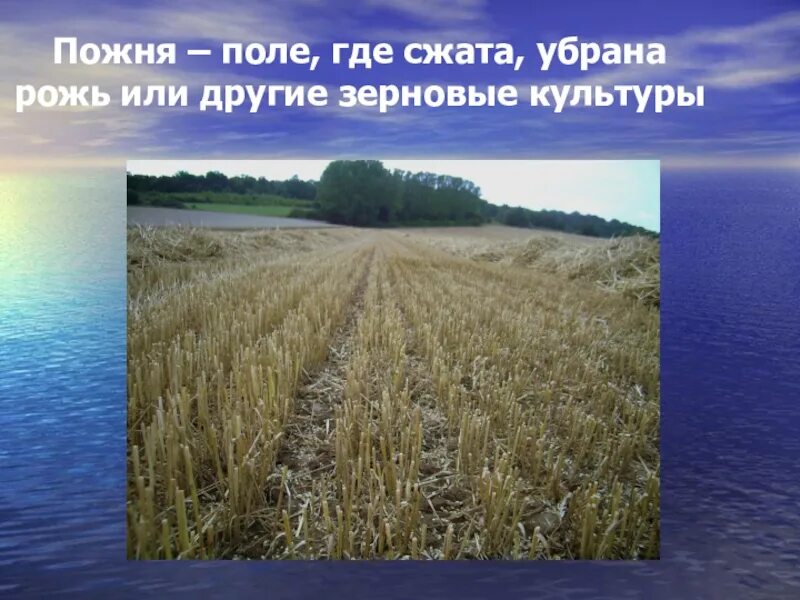 Поле откуда слово. Долина происхождение слова. Поле откуда слово. Текстовое поле со списком. Все согласные звуки мягкие в слове.