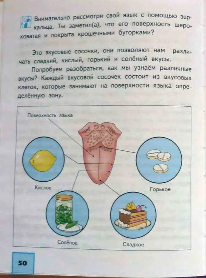 Мир 4 класс 2 часть