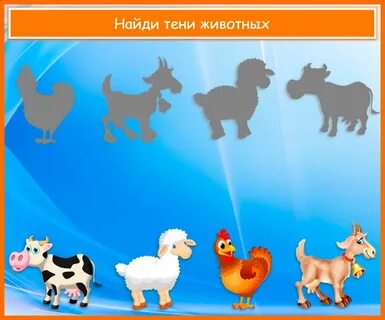 Найди мой