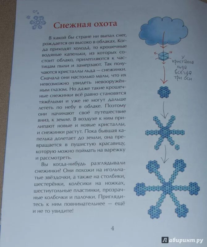 История снежинки книга