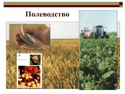 Растениеводство 6 класс технология презентация