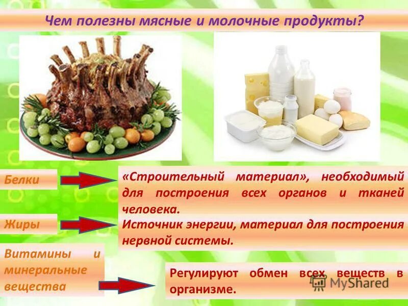 мясо рыба. не есть мясо и молочные продукты. не есть мясо и молочные продукты. мясо рыба молоко. окружающий мир проект школа кулинаров.