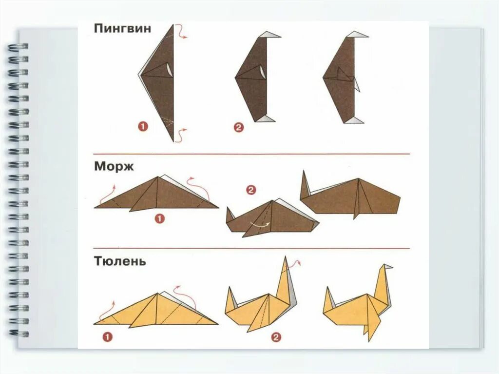Животные зоопарка 1 класс технология