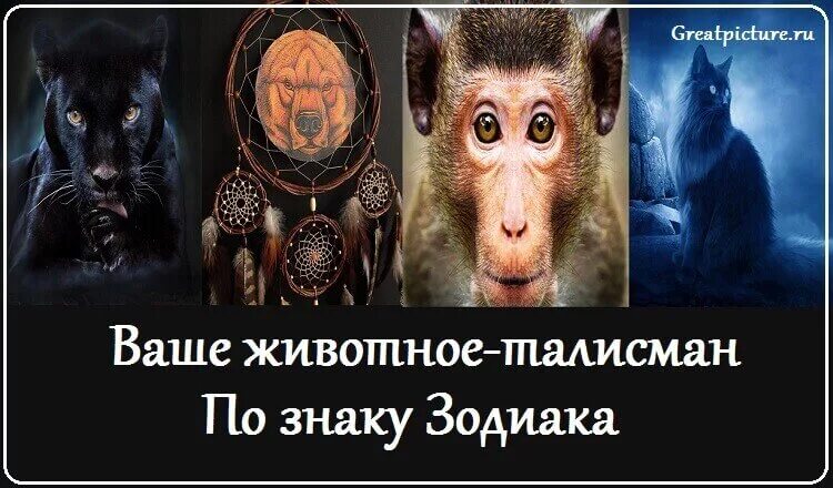 Амулеты талисман для тельца. Как узнать свой талисман животного. Какое животное талисман. Талисман животных. Амулет по знаку зодиака.
