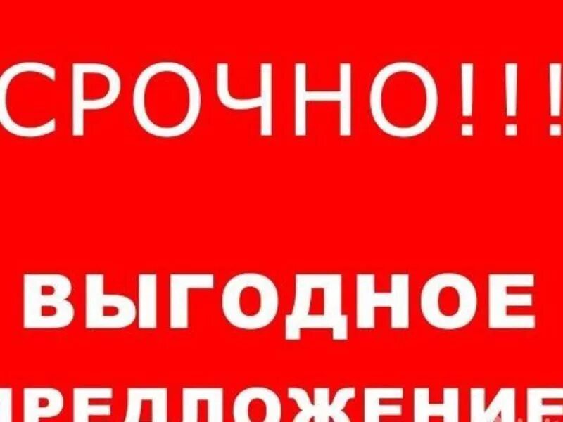 Отказной тур срочно. Отказной тур срочно. Отказные туры. Отказной тур срочно. Отказной тур срочно.
