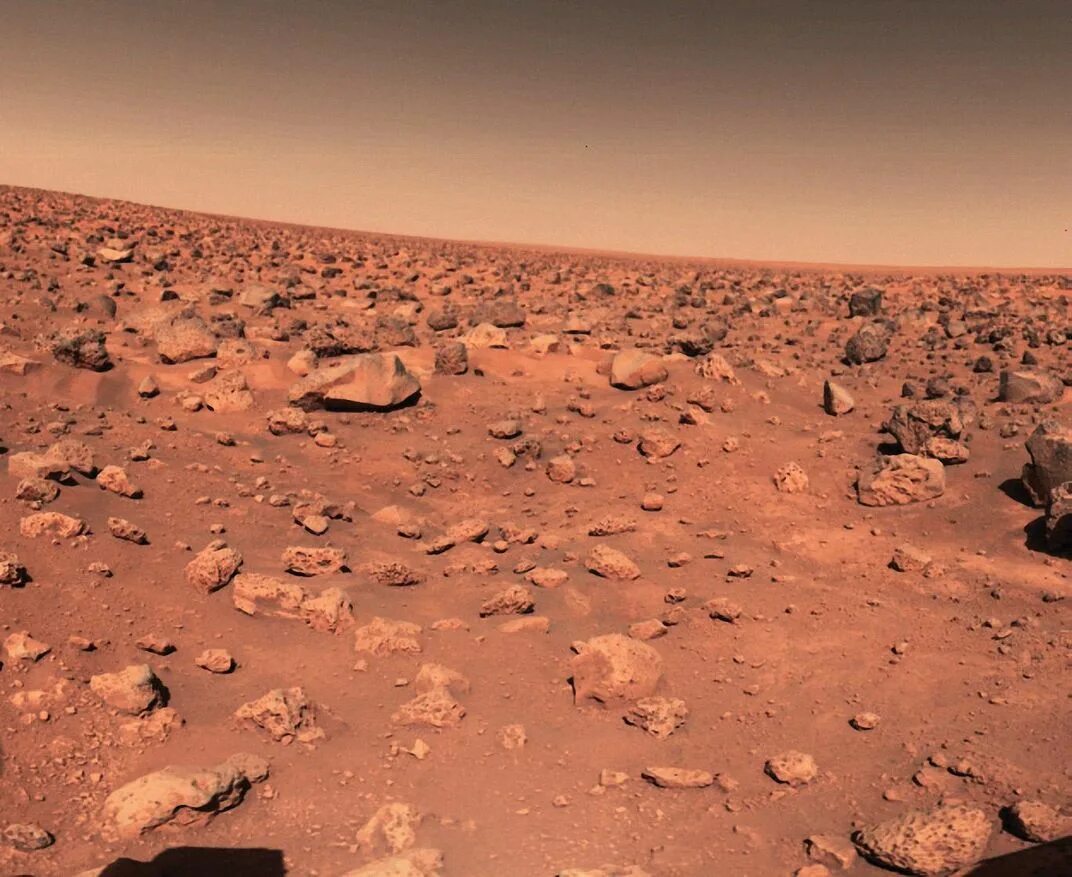 Mars net