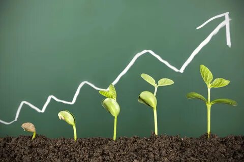 Как можно управлять ростом растений