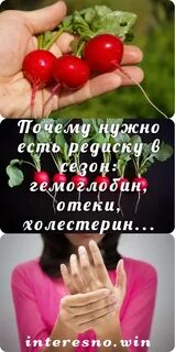 Можно при диабете 2 типа есть редиску