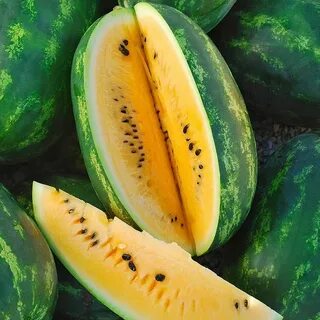 Желтый арбуз как вывели