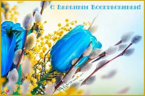 Вербная неделя в 2024 что нельзя делать