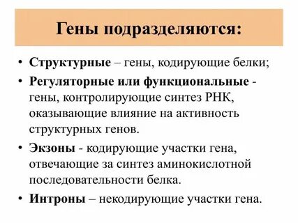 Структурные гены это в биологии