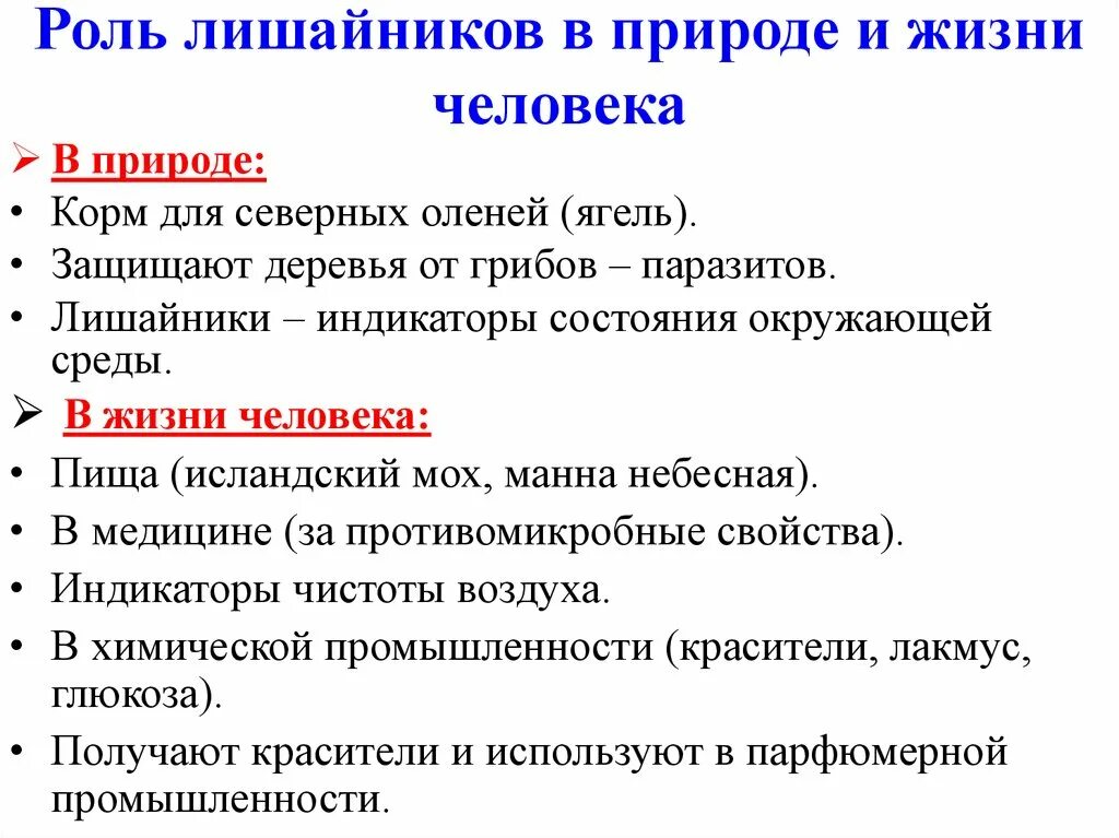 Роль лишайников в природе