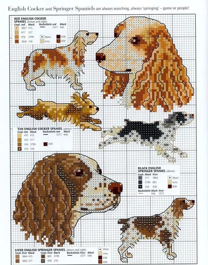 Схема собачки маленькая. Кавалер кинг чарльз спаниель вышивка крестом. Вышивка собаки крестиком схемы. Вышивка английского кокер спаниеля схема. Вышивка крестом собаки.