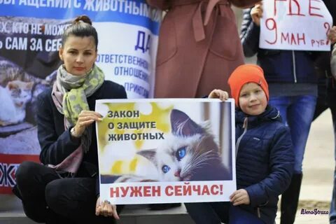 Альянс защитников животных