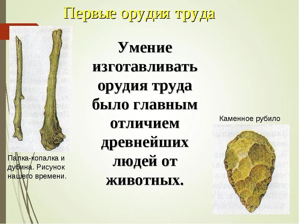 Рубило значение