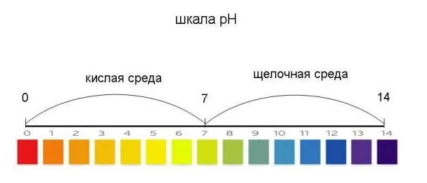 Как изменится рн. Шкала водородного показателя РН. Шкала кислотности PH. Водородный показатель шкала PH. Шкала РН водных растворов.
