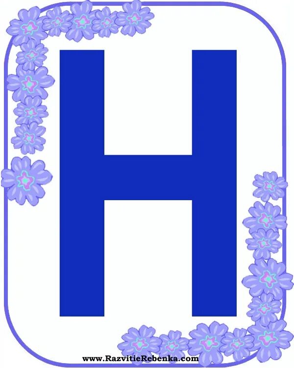 Н o c