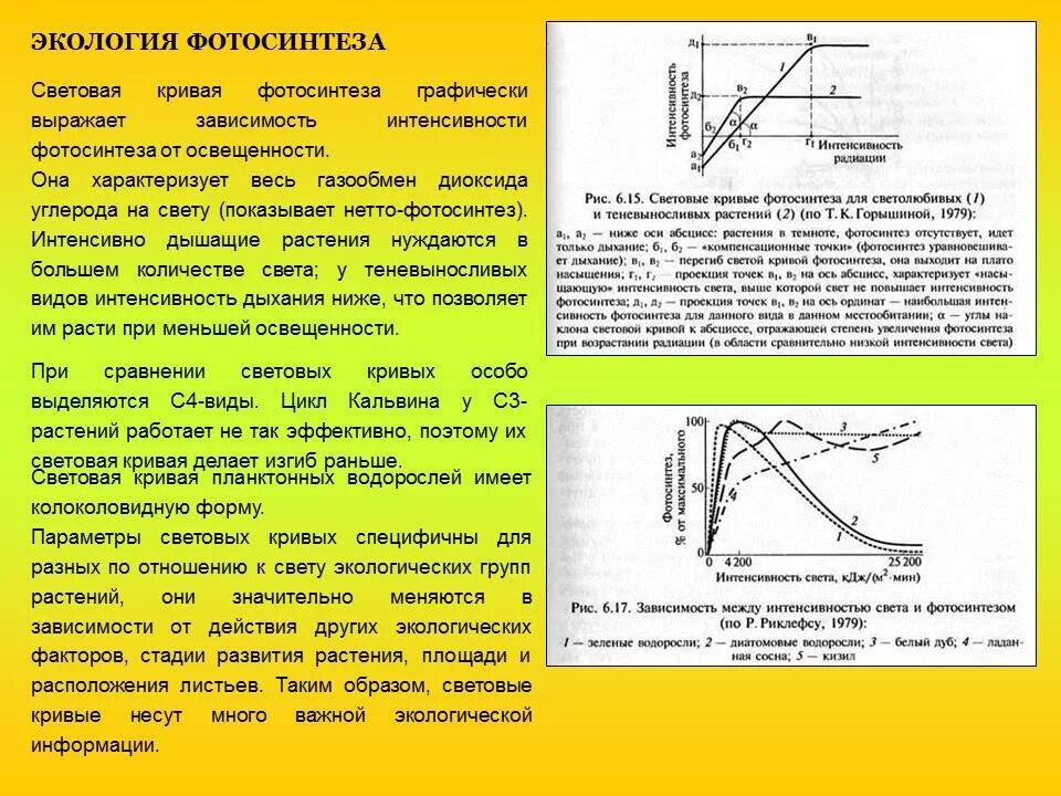 Зависимость фотосинтеза от интенсивности освещения. Световые кривые фотосинтеза. Зависимость фотосинтеза от освещенности. Влияние освещенности на интенсивность фотосинтеза..