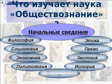 Наука изучающая политическую жизнь общества