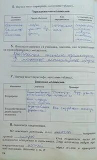 Используя рисунки параграфа