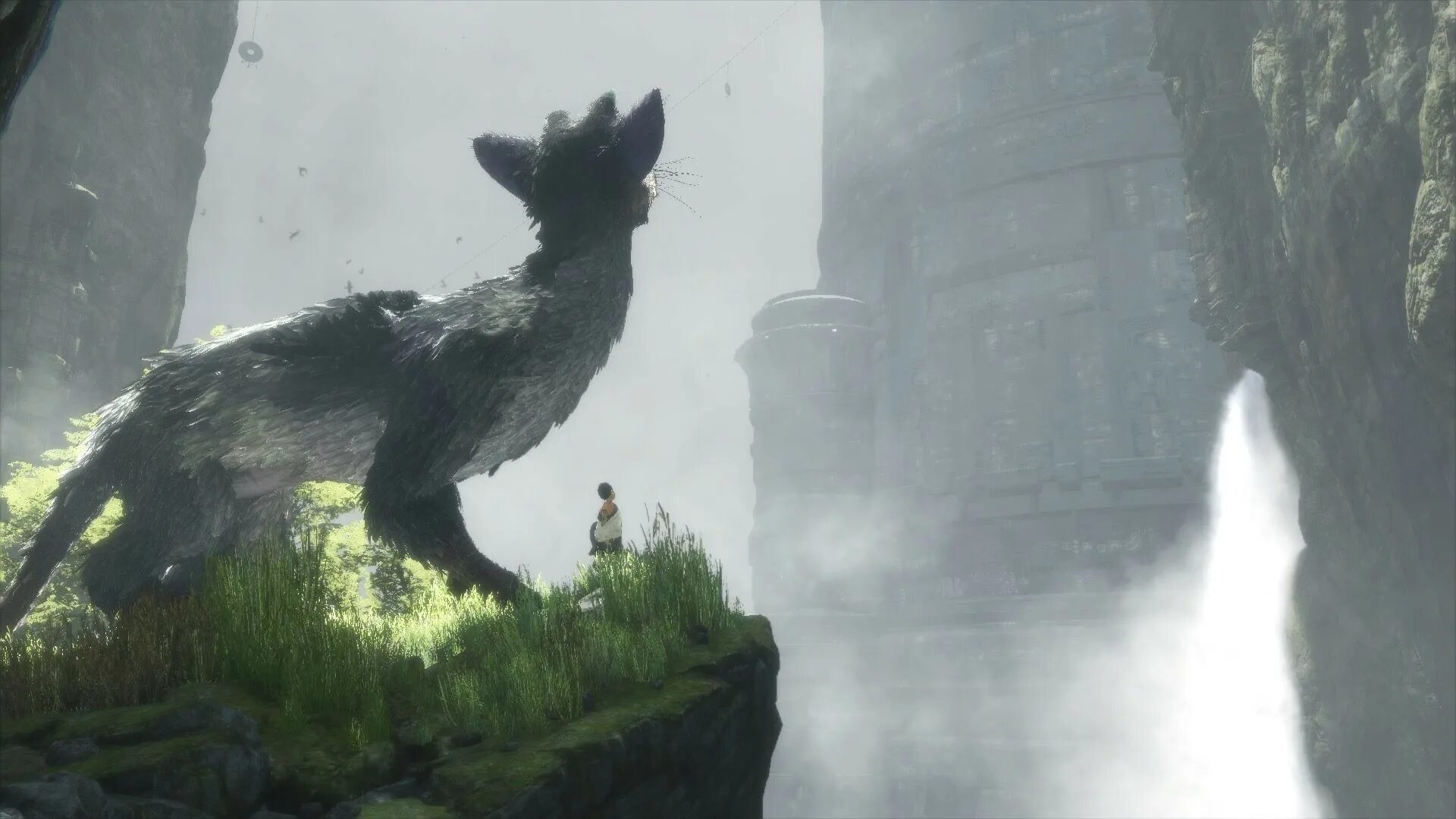 Ласт гардиан. Игра the last Guardian. Трико the last Guardian. The last Guardian ps4. The last Guardian трико Скриншоты.