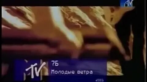 Дули молодые ветра