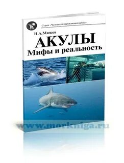 Проект мифы и реальность
