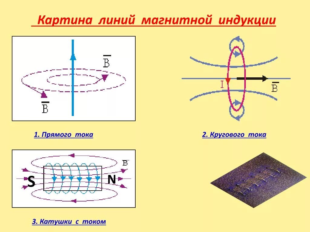 Линии магнитной индукции прямого проводника с током. Линии магнитной индукции поля. Магнитное поле прямого проводника магнитной индукции. Форма линий магнитной индукции прямого тока. Какое направление имеет магнитная линия проходящая