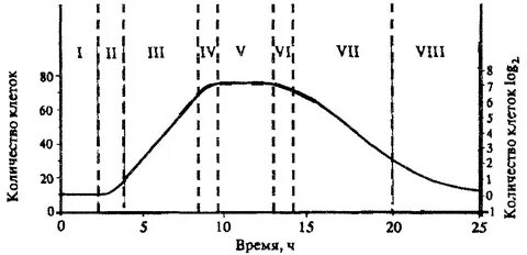 График бактерии