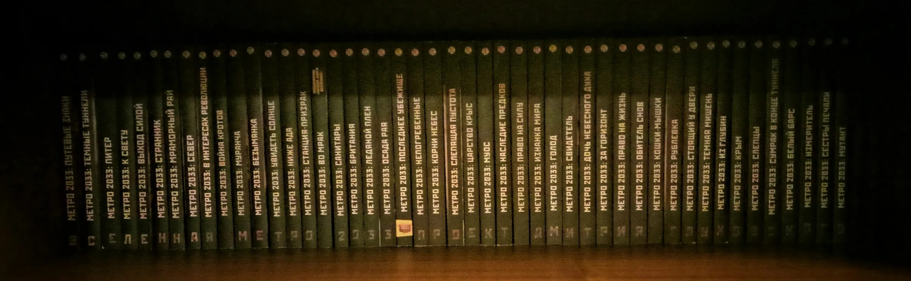 книга 2033 читать