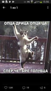 Оп цаца