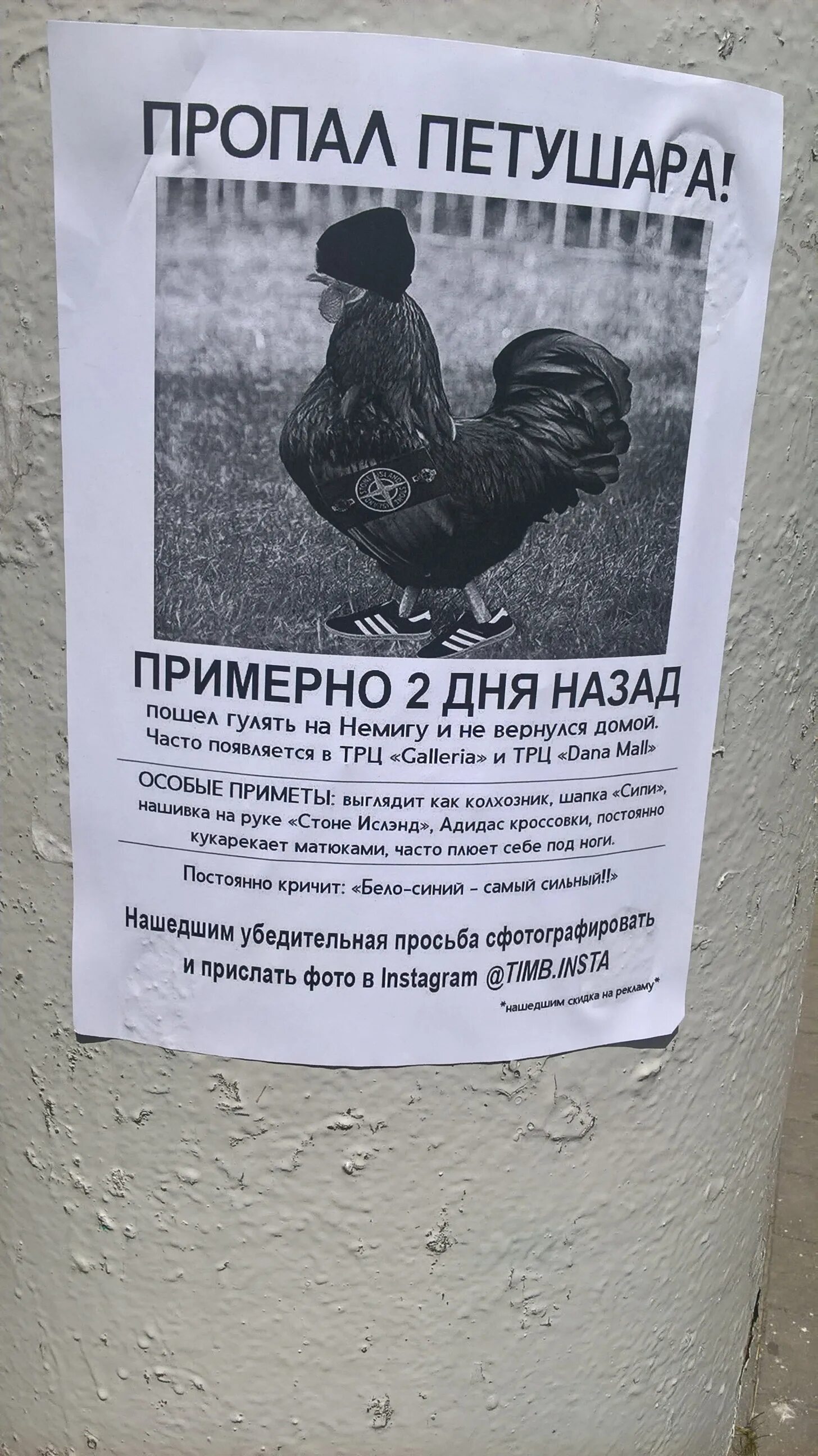 Саня петушара. Петух. Петушара. Ты на кого батон крошишь картинки. Смешной петух.